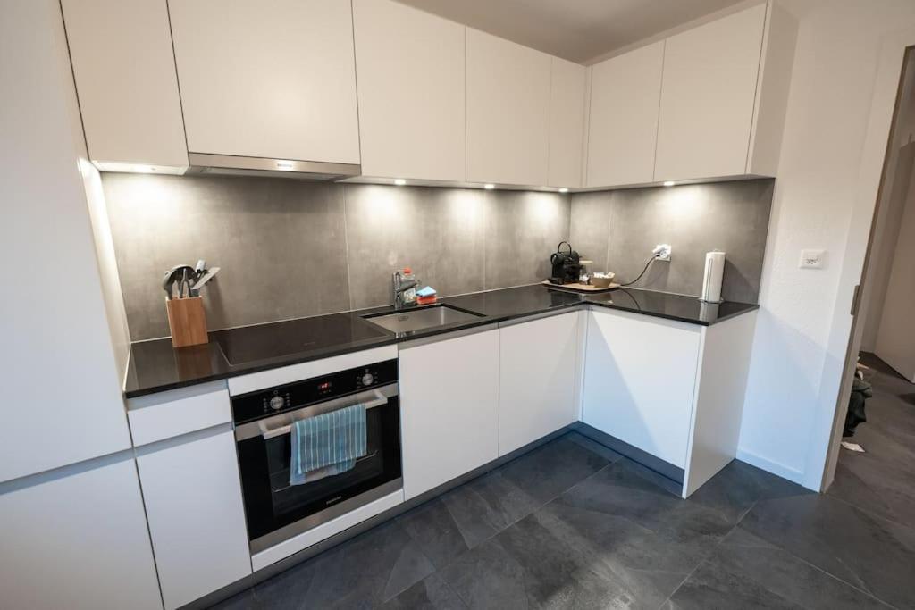Appartement Spacieux Au Centre De La Gruyere Broc Buitenkant foto