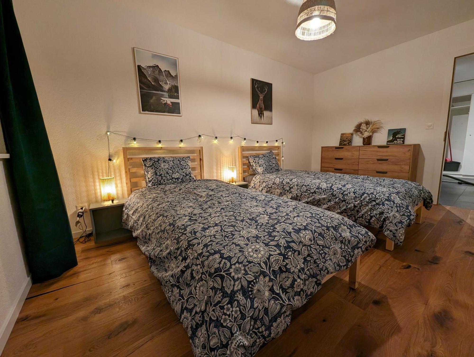 Appartement Spacieux Au Centre De La Gruyere Broc Buitenkant foto